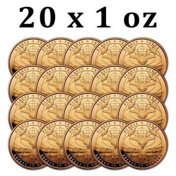 Verenigde Staten. 20 x 1 oz Safety in Numbers Planes and