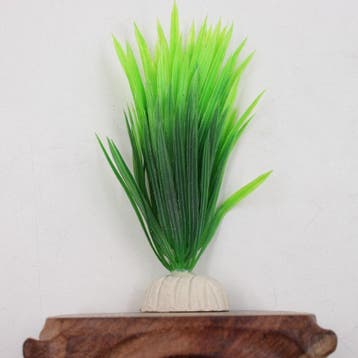 12cm Aquarium Plantje, Verzenden, Nieuw