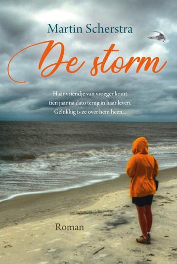 De storm 9789020537161 Martin Scherstra, Boeken, Verzenden, Zo goed als nieuw, Martin Scherstra
