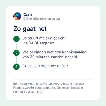 Caro geeft online bijles rekenen en taal, Privéles, Bijles