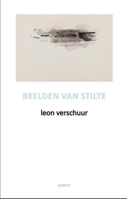 Beelden Van Stilte | Leon Verschuur | Nieuw, Boeken, Literatuur, Nieuw, Ophalen of Verzenden
