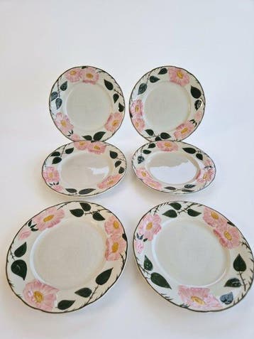 Villeroy & Boch - Bord (6) - Wild-Rose, Wildrose - Porselein