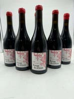 2022 Terra Vita Vinum Anjou Gamay Rouge de Schiste - Loire -, Nieuw