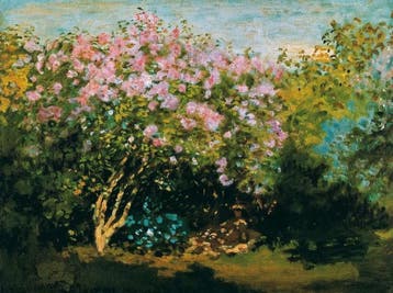 Kunstdruk Claude Monet - Blühender Flieder in der Sonne, Verzenden, Nieuw