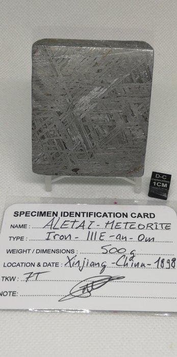 Prachtige meteoriet Aletai. IJzer meteoriet - 500 g