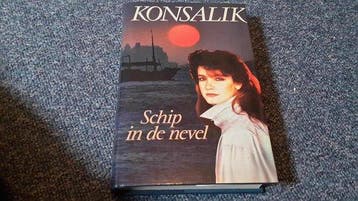 Schip in de nevel 9789022509715, Zo goed als nieuw