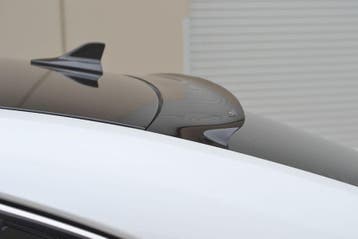 SK-Import Achter Windscherm Smoke Lexus IS, Nieuw, Spatbord, Achter, Lexus