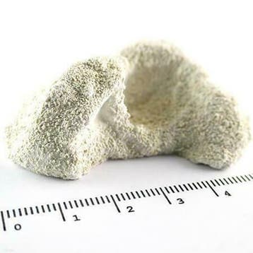 Achilles Aragonite Frag Rocks 50 stuks, Ophalen of Verzenden, Nieuw