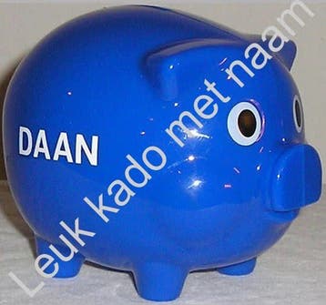 Blauw spaarvarken met naam Styn, Verzenden, Nieuw