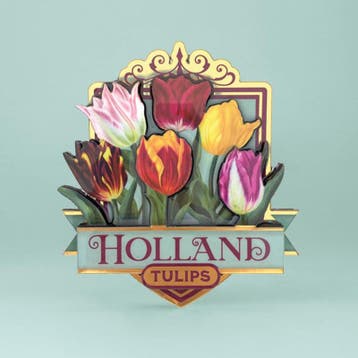 Magneet mdf pretty tulips Holland - groen, Ophalen of Verzenden, Nieuw