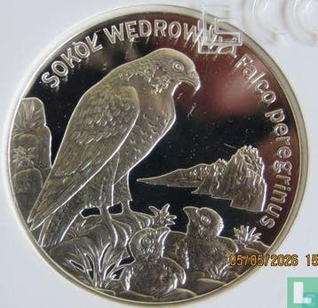Polen 20 zlotych 2008 (PROOF) Peregrine falcon, Verzenden, Overige landen, Losse munt, Goud