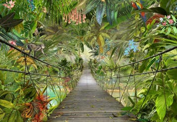 Jungle fotobehang Wild Bridge, Brug Jungle, Muurdeco4kids, Verzenden