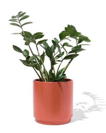 HEMA Bloempot 19x19cm oranje van €7.99 voor €6 sale, Verzenden