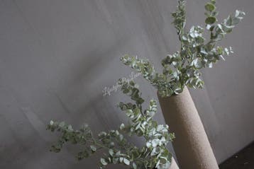 Kunst bundel / bos Eucalyptus Parvifolia groen 64 cm, Ophalen of Verzenden, Nieuw