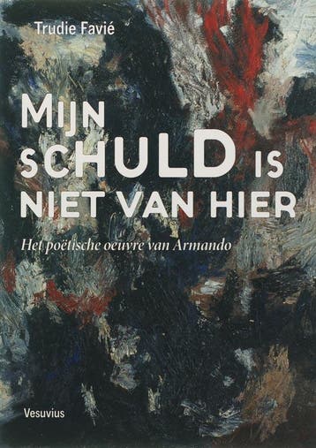 Mijn schuld is niet van hier - T. Favie 9789086590179, Verzenden, Gelezen, T. Favie