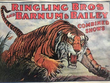 Circus - Ringling Bros and Barnum & Bailey Combined Shows -
