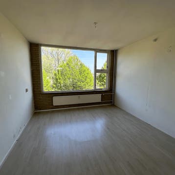 Kamer gevonden in of bij Delft, Huizen en Kamers, 20 tot 35 m²
