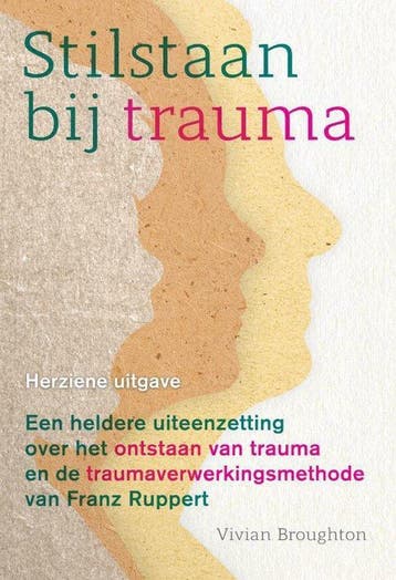9789463160490 Stilstaan bij trauma Vivian Broughton, Boeken, Psychologie, Verzenden, Nieuw, Vivian Broughton