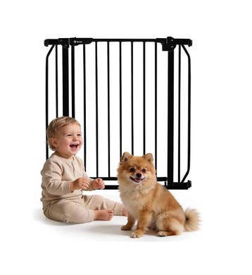 Lionelo Truus Slim Veiligheidshekje voor kinderen en hond..., Verzenden, Nieuw