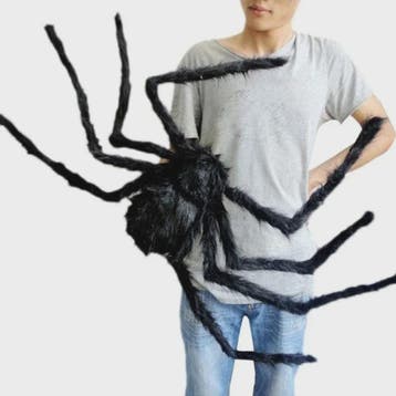 Enorme Pluche Spin Halloween Decoratie - 30cm tot 200cm, Verzenden, Nieuw