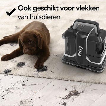 2dekans | Brixy Professionele Tapijtreiniger -, Ophalen of Verzenden, Gebruikt