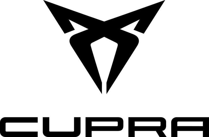 Cupra Verborgen Opties Activeren Coderen Diagnose Coding, Diensten en Vakmensen, Auto en Motor | Monteurs en Garages, Overige werkzaamheden