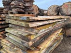 6X Boomstambladen, complete partij 420,- REF 790, Doe-het-zelf en Verbouw, Hout en Planken, Nieuw, Ophalen of Verzenden, 250 tot 300 cm