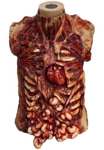 Horror torso (voorkant) Halloween prop, Verzenden, Nieuw