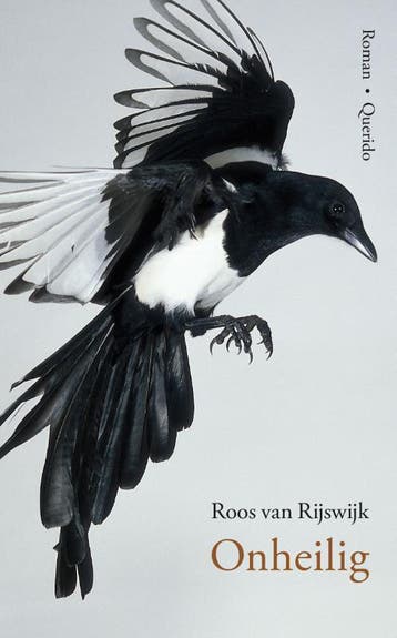 Onheilig | Roos Rijswijk | Nieuw, Ophalen of Verzenden, Nieuw, Roos Rijswijk