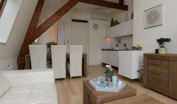 Te Huur Studio Torenstraat In Den Haag, Huizen en Kamers, 20 tot 35 m², Den Haag
