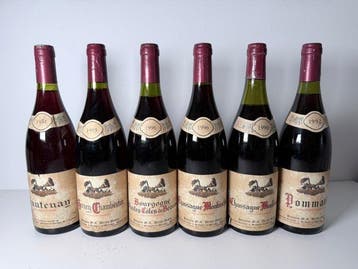 1994 Domaine M. C. Doreau-Dumont Santenay 1995 Gevrey, Nieuw