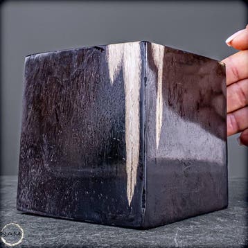 Versteend hout kubus – natuurkunst uit miljoenen jaren