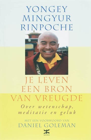 Je leven een bron van vreugde - Y.M. Rinpoche 9789021583365, Verzenden, Gelezen, Y.M. Rinpoche