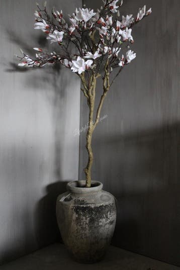 Namaak Magnolia boom 210 cm, Huis en Inrichting, Woonaccessoires | Kunstplanten en Kunstbloemen, Ophalen of Verzenden, Nieuw