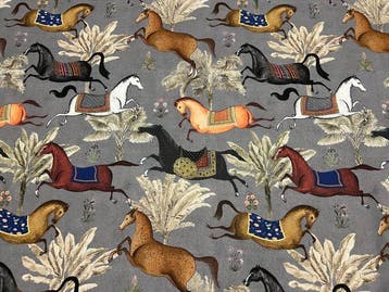 Ruitersymfonie: Een reis tussen elegantie en dynamiek in een