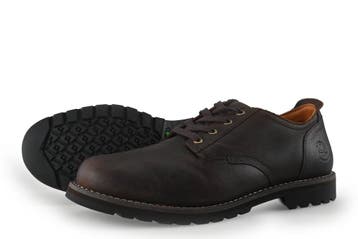 Timberland Veterschoenen in maat 45 Bruin, Kleding | Heren, Schoenen, Bruin, Verzenden, Timberland, Zo goed als nieuw