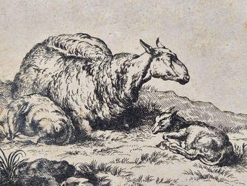 Nicolaes Pietersz. Berchem (1620–1683) - Liggend schaap en