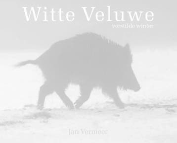 Witte Veluwe | Jan Vermeer | Nieuw, Boeken, Ophalen of Verzenden, Nieuw, Jan Vermeer