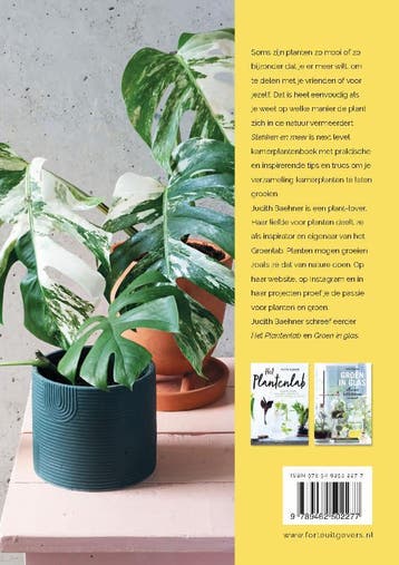 Stekken en meer 9789462502277 Judith Baehner, Boeken, Verzenden, Gelezen, Judith Baehner