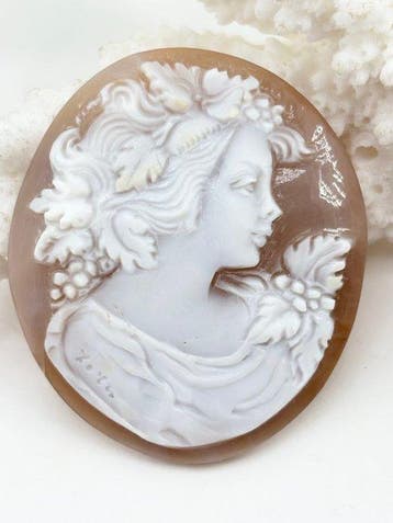 CASSIS MADAGASCARIENSIS - Cameo - Handgesneden camee, Nieuw