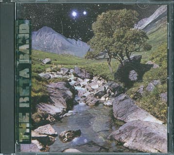 cd - The Beta Band - The Beta Band, Verzenden, Zo goed als nieuw