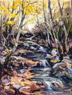 Marta Argentina - Stream in Montseny