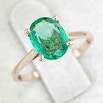 Zonder minimumprijs - Ring - 14 karaat Geel goud - 0.88ct., Nieuw