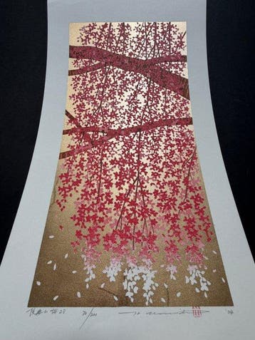 Shidarezakura 28  28 (Weeping Cherry 28) - Hajime