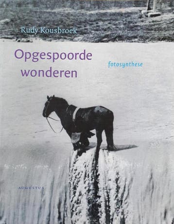 Opgespoorde wonderen - Rudy Kousbroek 9789045703718, Verzenden, Gelezen, Rudy Kousbroek