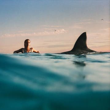 Dua Lipa - Radical Optimism - CD, Ophalen of Verzenden, Nieuw in verpakking