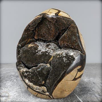 Zeer decoratieve septarian Druse, met calcietkristallen-