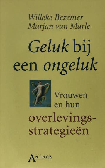 Geluk bij een ongeluk - Bezemer 9789060747032, Boeken, Verzenden, Gelezen, Bezemer