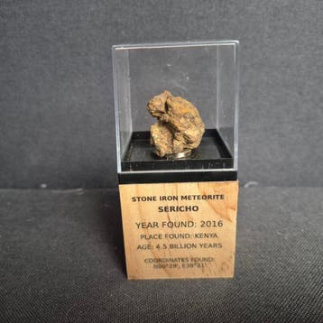 Sericho meteoriet pallasite in display - pallasite - Hoogte: