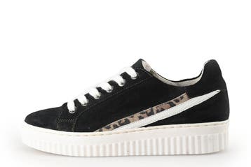 Sacha Sneakers in maat 38 Zwart, Kleding | Dames, Schoenen, Verzenden, Zwart, Sneakers of Gympen, Sacha